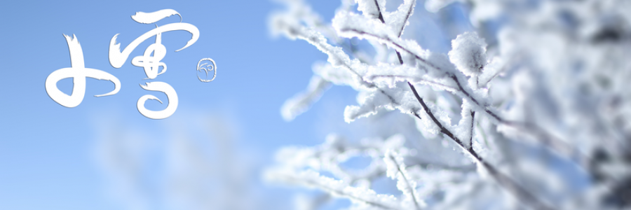 小雪丨雪落天地寒，愿君多珍重