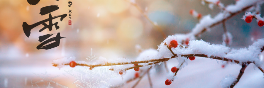 大雪丨 養(yǎng)陰護(hù)陽，君心不忘