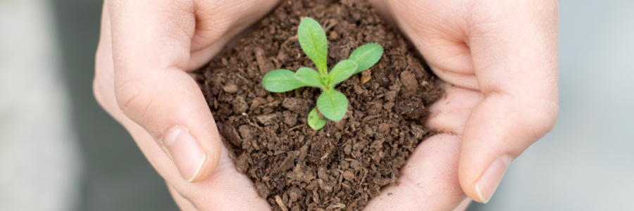 火運(yùn)不及的癸卯年，亟需補(bǔ)火護(hù)陽！