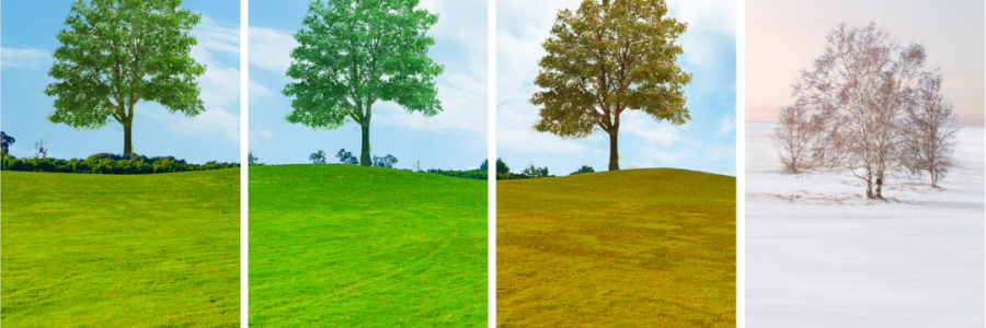 讀懂五臟五行與四季的關(guān)系，養(yǎng)生才算入門……