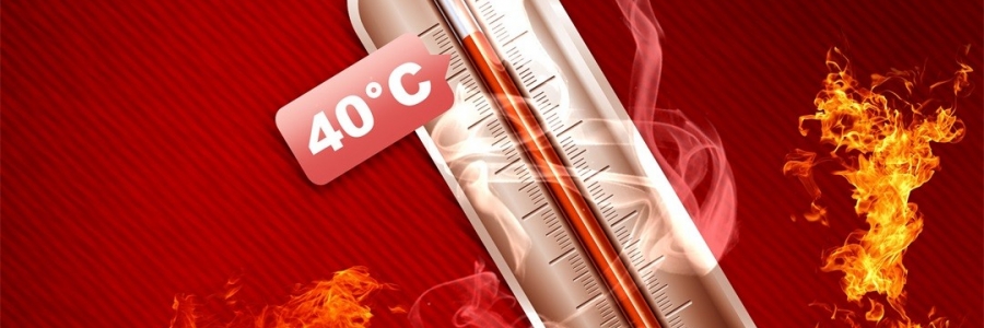 真的會“熱死人”！這個“夏天殺手”要警惕！