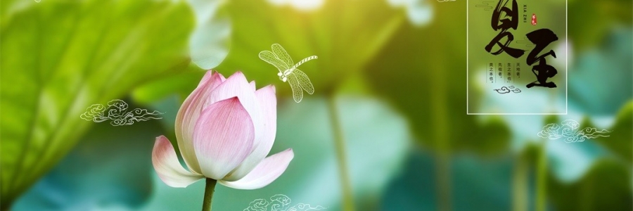 夏至 | 陽極陰生，美好日長