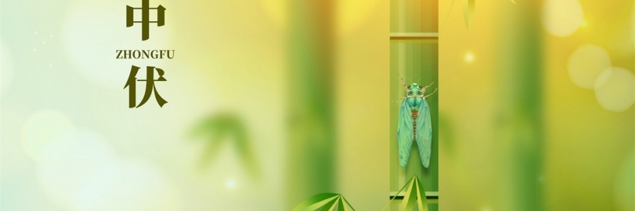 不想越扎越深？ 中伏拔病根，不做病床人！