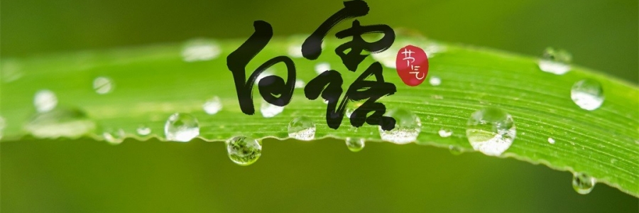 白露 | 天涼身勿露，灸火暖秋色