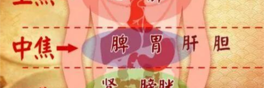 突破600億播放量的《羅剎海市》，竟然還暗藏中醫(yī)奧秘？