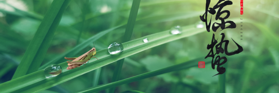 驚蟄丨蓄勢(shì)而蟄，應(yīng)時(shí)而驚