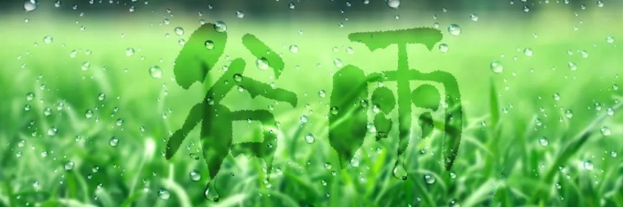 谷雨丨健脾祛濕，安然迎夏