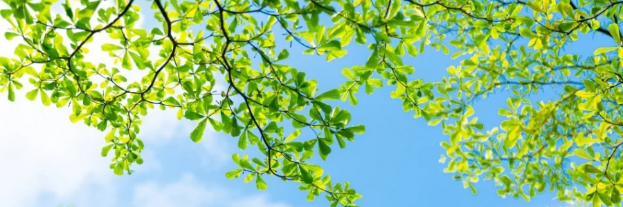 警告：夏天千萬不能做的5件事！快來看看~