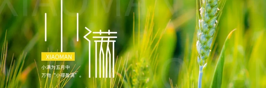 小滿丨小得盈滿，平安入夏