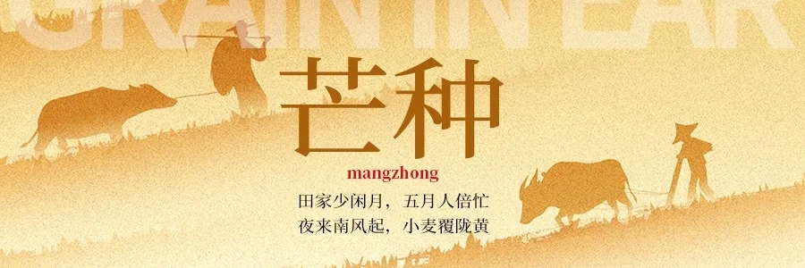 芒種丨“芒”有所獲，“種”有所得