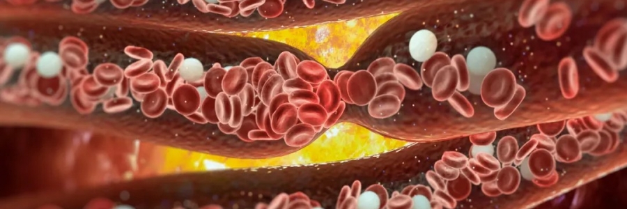 經(jīng)絡(luò)通，百病消！身體經(jīng)絡(luò)通了是什么感覺(jué)？