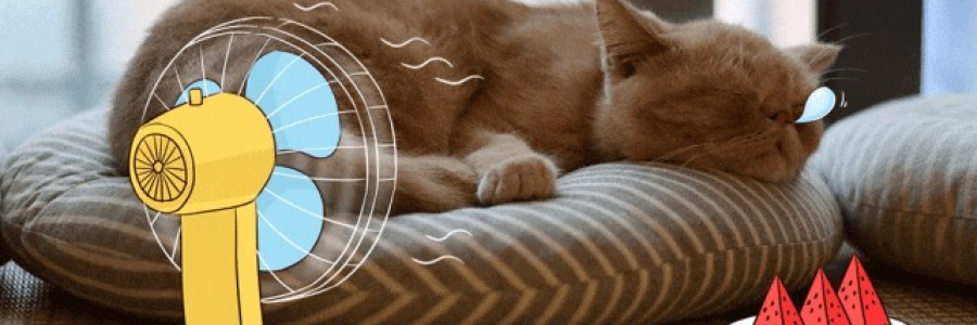 越睡越困的夏天，一個(gè)穴位趕走疲倦……