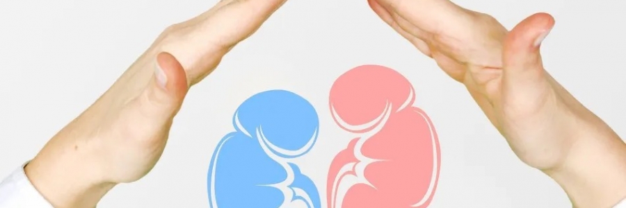 兩個(gè)人體的“長(zhǎng)壽穴”，每天揉一揉，健康又長(zhǎng)壽