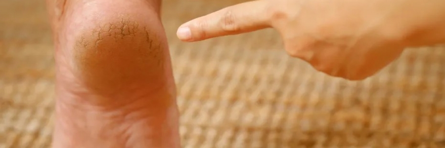 每天跺跺腳，從腳養(yǎng)到頭，越跺越年輕！