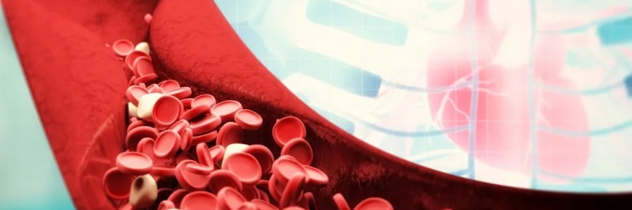 萬(wàn)病皆生于瘀，愛(ài)生病的人小心這三種“瘀毒”