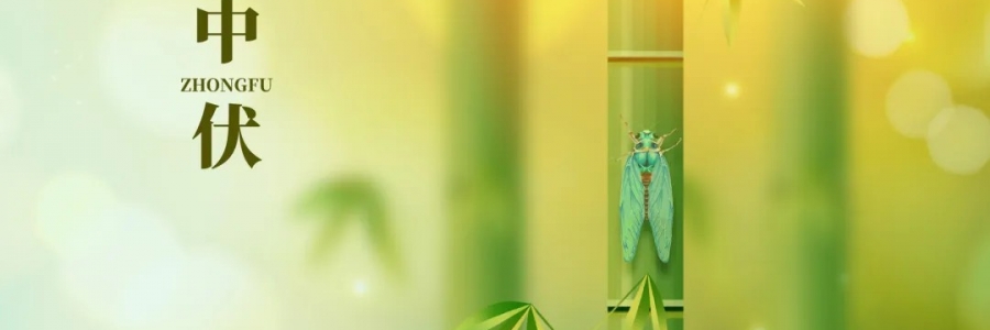 三伏灸丨破三冰，泄三濁，清五毒，祛六淫！