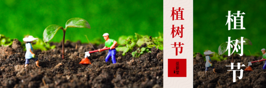 外植綠樹，內(nèi)養(yǎng)肝木，別忘給身體也“種下”護(hù)肝種子！