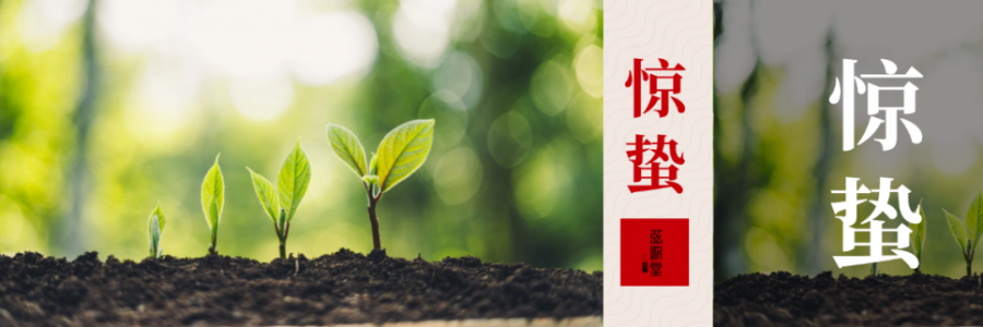 驚蟄 | 驚起春潮，蟄動萬物