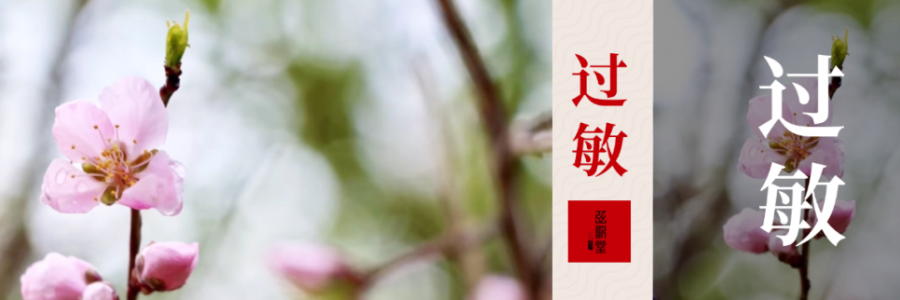 水泥封鼻、眼睛癢？四月過敏季，快和鼻炎說拜拜！