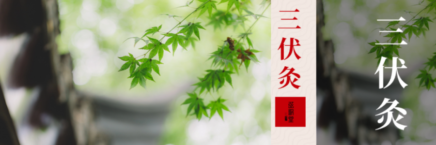 中伏 | 伏藏陽(yáng)，冬不慌！三伏過(guò)半，抓緊養(yǎng)陽(yáng)黃金期